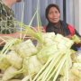 Rejeki Tiban Para Pembuat Ketupat Janur Kuning saat Lebaran