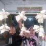 Pudak dan Otak-otak Bandeng Khas Gresik Diburu Pemudik Untuk Oleh-oleh