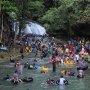 Flora Fauna Endemik di Kawasan Taman Nasional Bantimurung-Bulusaraung Dapat Perlindungan