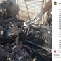 Sebuah Garasi Moge di Bali Terbakar, Kerugian Capai Miliaran Rupiah