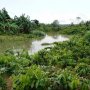 Alih Fungsi Rawa Untuk Perumahan Jadi Penyebab Banjir Samarinda