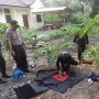 Ditemukan Warga, Tim Gegana Musnahkan 3 Granat Peninggalan Perang Dunia II