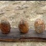 Geger Granat Misterius Ditemukan di Samping Rumah Warga saat Cari Kayu