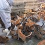 Tak Lazim, 3 Desa Unik di Jepang Ini Dihuni Ribuan Kucing hingga Boneka