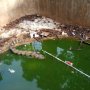 Kondisi Mini Zoo Kostrad Cilodong Viral, Makanan Busuk hingga Air Kotor