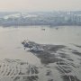 Anies Jawab Sindiran Menteri Susi Soal Lumpur dan Sampah Waduk Pluit