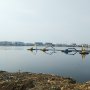 Warga Kampung Muara Baru Klaim Tak Pernah Buang Sampah di Waduk Pluit Lagi