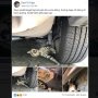 Aksi Kocak Prank Kucing Usil Bikin Ngakak