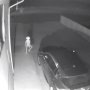 Heboh Penampakan Makhluk Misterius Satroni Mobil, Alien atau Tuyul?