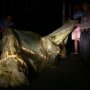 Balon Udara Jatuh, Warga Dengar Suara Geledek