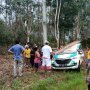 Pecah Ban, Pengemudi Mobil Dinas PLN Tewas Setelah Hantam Tiang Listrik
