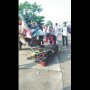 Viral Foto Kuda Tergeletak Lemas di Jalan, Begini Kata Pemiliknya