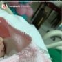 Aura Kasih Lahirkan Bayi Perempuan, Intip Yuk Zodiaknya !
