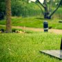Bosan Berbulan-bulan WFH, Coba Working From Bali