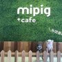 Minum Teh Bersama Babi Imut nan Menggemaskan di Mipig Cafe Tokyo