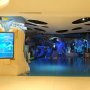Jakarta Aquarium Boyong Kutu Laut hingga Gurita Raksasa ke Indonesia