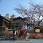 Banyak Turis Kurang Sopan, Kyoto Peringatkan Hal Ini