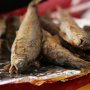 Bikin Ngilu Tenggorokan, Warganet Temukan Benda Asing saat Hendak Santap Hidangan Ikan Ini