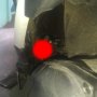 Nyelip di Mesin, Binatang Imut Ini Bikin Pemilik Motor Keteteran