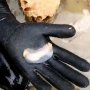 Ilmuwan Temukan Spesies Cacing yang Bisa Makan Kayu Hingga Batu