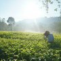 10 Tempat Wisata di Bandung Selatan yang Bikin Susah Move On