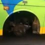 Bikin Penasaran, Pemobil Temukan Bus Melaju Tanpa Salah Satu Rodanya
