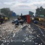 Truk Terguling di Tol Sidoarjo, Ribuan Ikan Mujair Berhamburan di Jalan