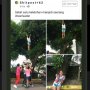 Bikin Kagum, Anggota Cheerleader Ini Gunakan Kemampuannya Mengambil Mangga