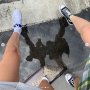 Kata Ahli : Sepatu Super Nyaman Ini Ternyata Buruk untuk Kaki Anda