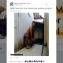 Kebanyakan Gaya, Video Pamer Angkat Barbel Ini Berakhir Tak Terduga