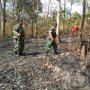 Bakar Sampah di Lereng, Hutan di Gunung Belik Lesung Terbakar