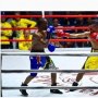 Harumkan Nama Indonesia, Petinju asal NTT Jadi Juara Dunia Versi IBO