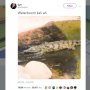 Gagal Seram, Aksi Buaya Meluncur bak di Perosotan Ini Bikin Gemas