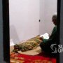 Leher Tertancap Pisau saat Main Lari-larian, Bocah 9 Tahun Tewas