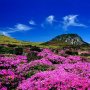Dari Magisnya Gunung Halla, Menyambangi 4 Destinasi Alam Korea Selatan
