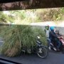 Pemotor Bawa Rumput Sampai Tak Kelihatan, Warganet: Pakai Mata Batin