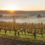 Aneka Destinasi di Margaret River, Penghasil Anggur Terbaik di Australia