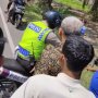 Polisi Jadi Sorotan saat Jatuh di Jalan, Alasannya Membuat Penasaran