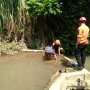 Warga Bogor Barat Dihebohkan Penampakan Buaya