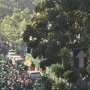Potret Jalanan di Jakarta yang Saat Ini Jadi 'Lebih Hijau'