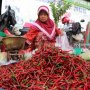 Harga Cabai Melambung, Pemprov DKI: Penyebab Kenaikan Bisa Macam-macam