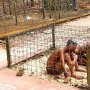 Museum Phu Quoc Prison: Reka Ulang Sadisnya Penyiksaan Tapol Vietnam