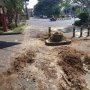 Sempat Dirawat di RS, Bayi Tertimpa Pohon Tumbang di Purwosari Meninggal