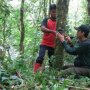 Pantau Harimau Sumatera di Dekat Permukiman Warga, BKSDA Pasang Camera Trap