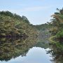 Sekilas Menyerupai Amazon, Pesona Cantiknya Taman Nasional Berbak di Jambi