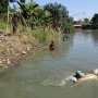 Diduga Imbas Limbah Industri, Ribuan Ikan di Sungai Driyorejo Mati