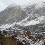 Tak Hanya di Kutub, Tempat Terdingin Sejagat Ada di Gletser Siachen