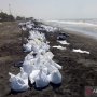 Pasir Bercampur Minyak Menumpuk di Pantai Sedari