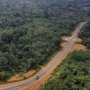 Ini Wujud Daerah Bakal Calon Ibu Kota Negara