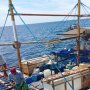 Ungkap Sindikat Perdagangan Orang, DFW Indonesia: Pemerintah RI Gagal Tegakkan Hukum di Laut